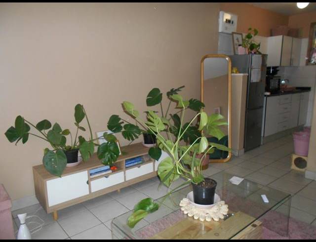 BEDROOM APARTMENT TO LET IN SOUTH BEACH
